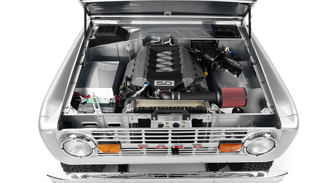 coyote bronco