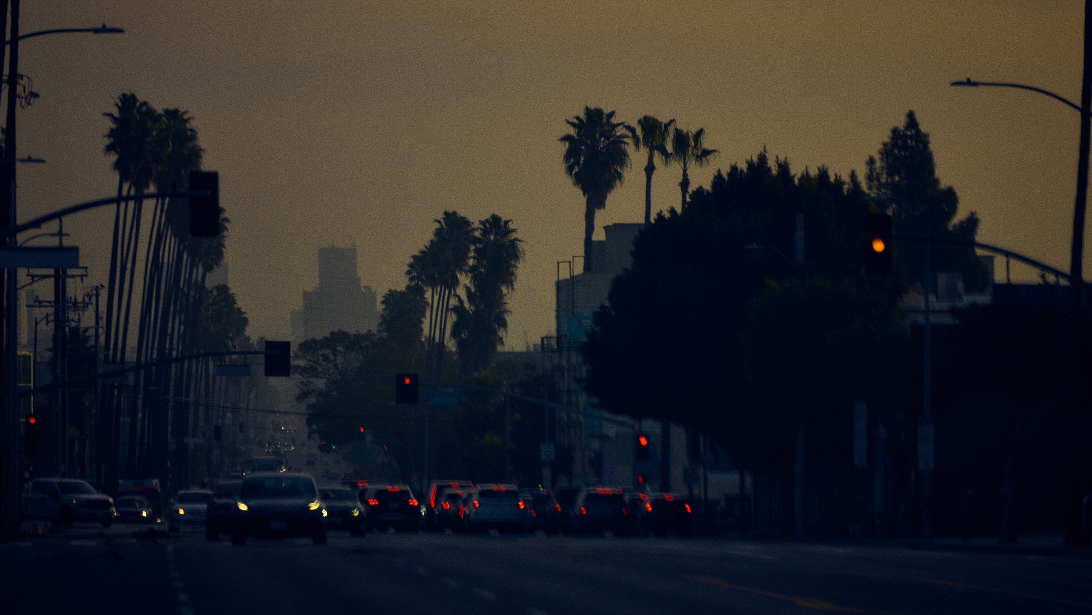 Traffic on a long urban street lined with palm trees at dusk with red traffic lights