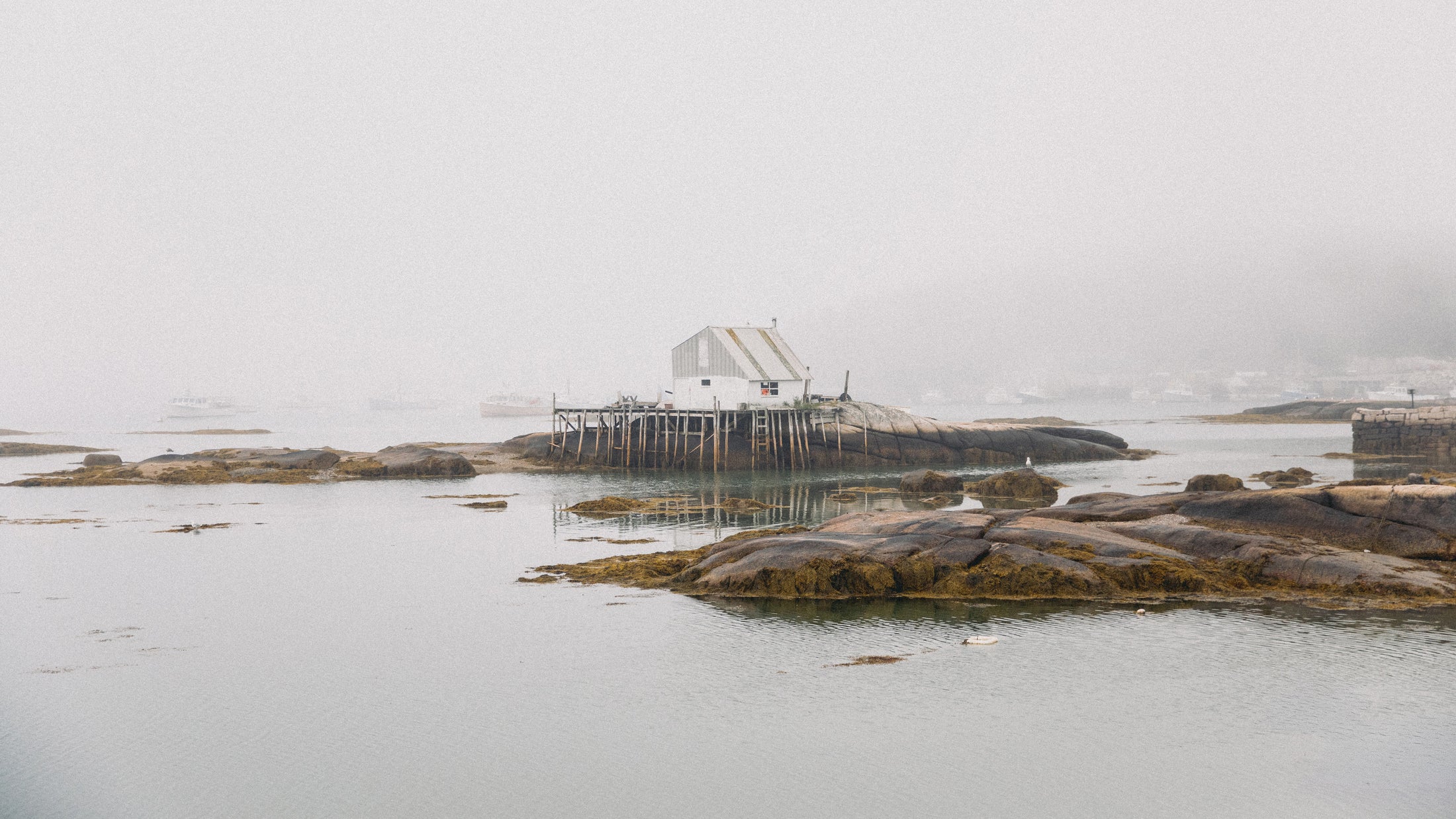 Foggy harbor scene with a wooden house on stilts over rocky water
