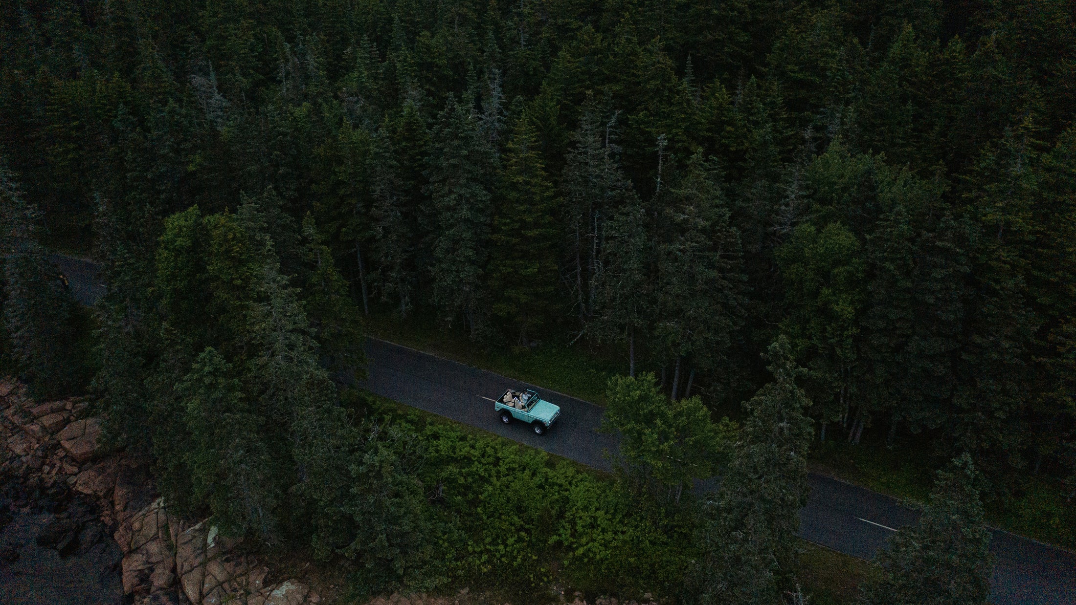 Classic Ford Bronco driving on a road through dense forest at dusk or dawn.
