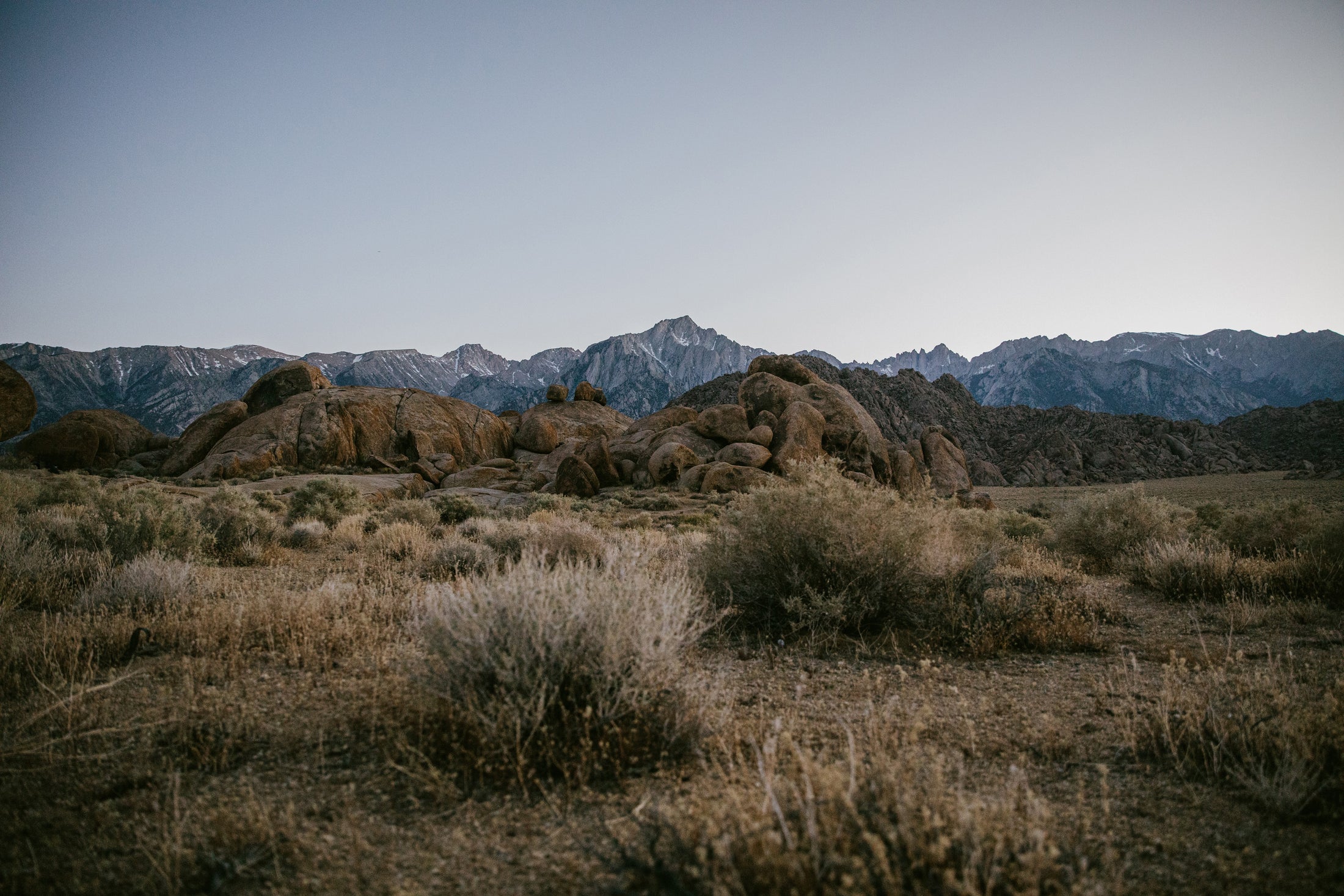 Mountain range with bushes and rocks in foreground under early morning light