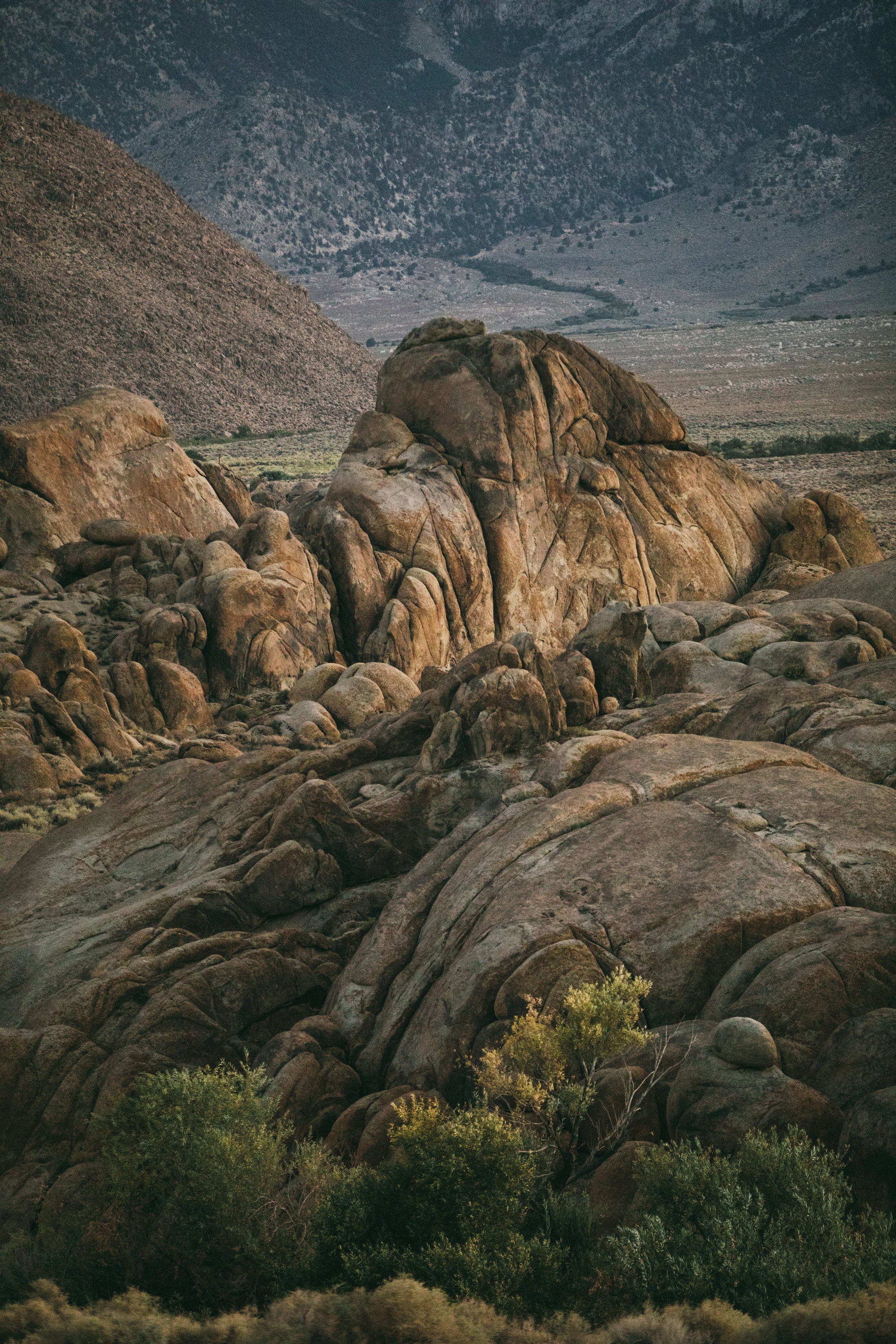 Classic Ford Bronco driving fast on desert trail causing dust to rise with rocky hills behind