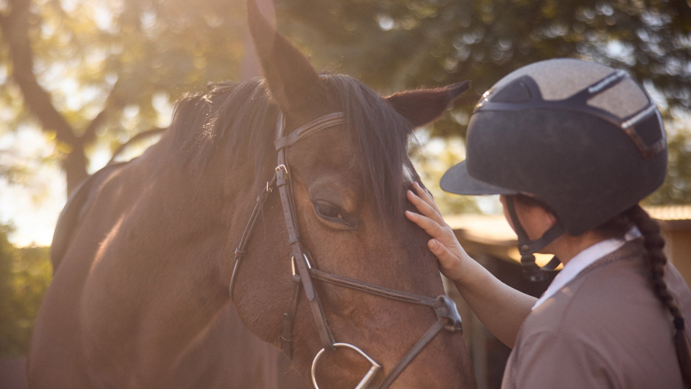 Child wearing a helmet gently touching the head of a dark horse, outdoors with sunlight filtering through trees.