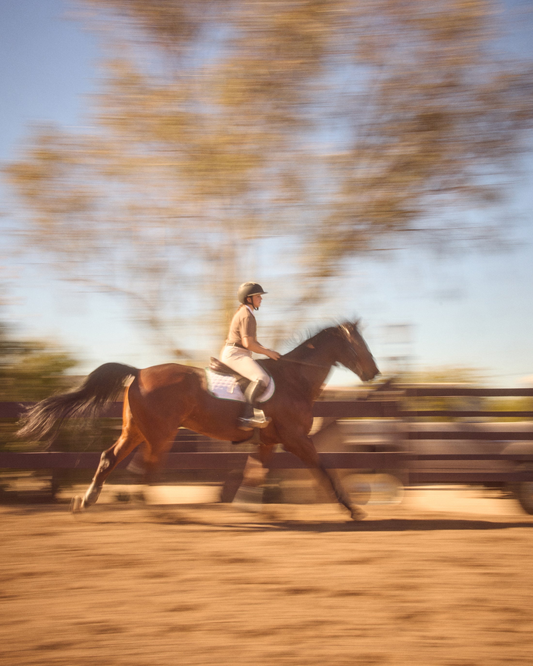 Person riding a galloping horse in an outdoor arena, motion blur capturing movement.