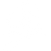 Classic Ford Broncos logo