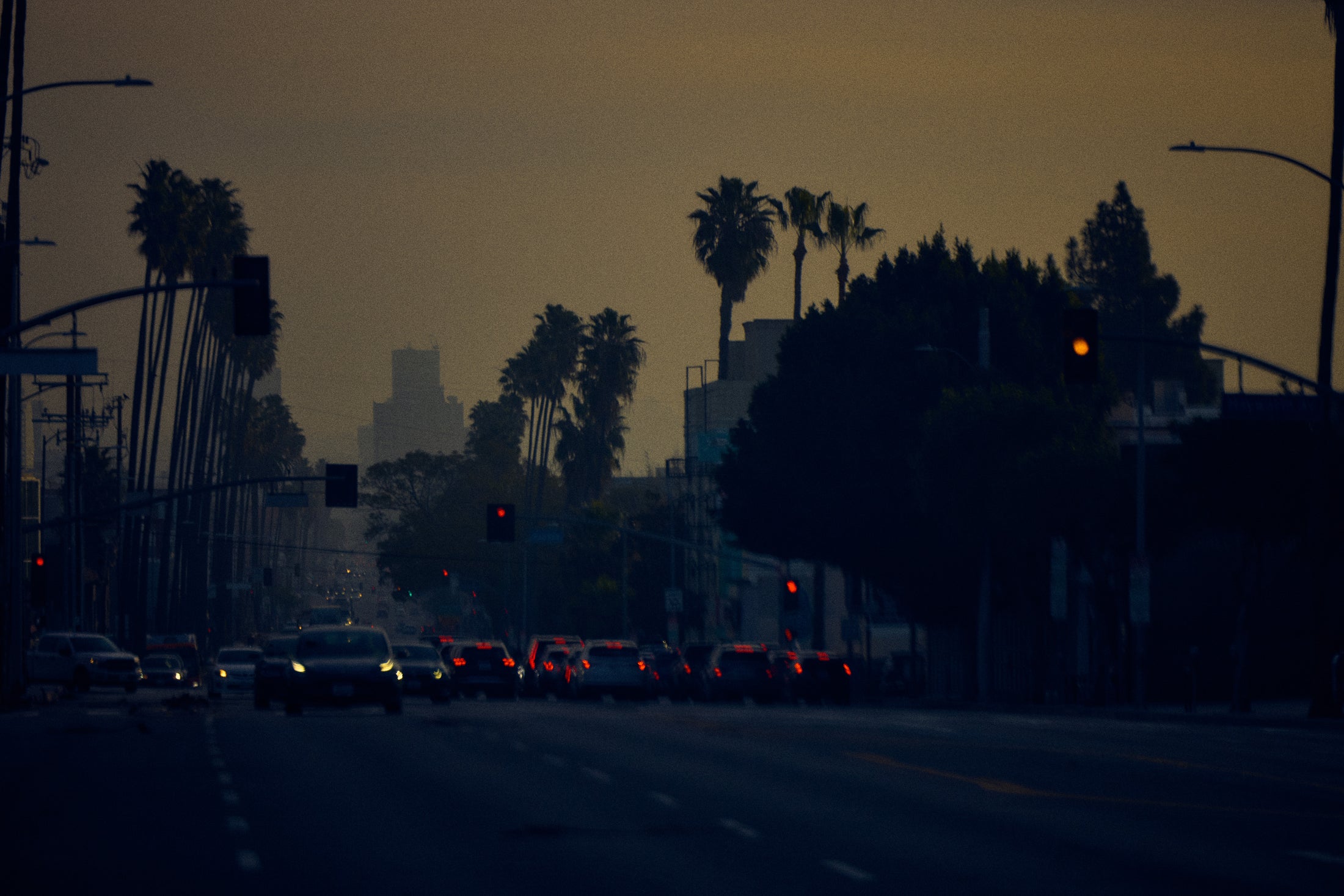 Distant view of a city street lined with palm trees under early evening sky.