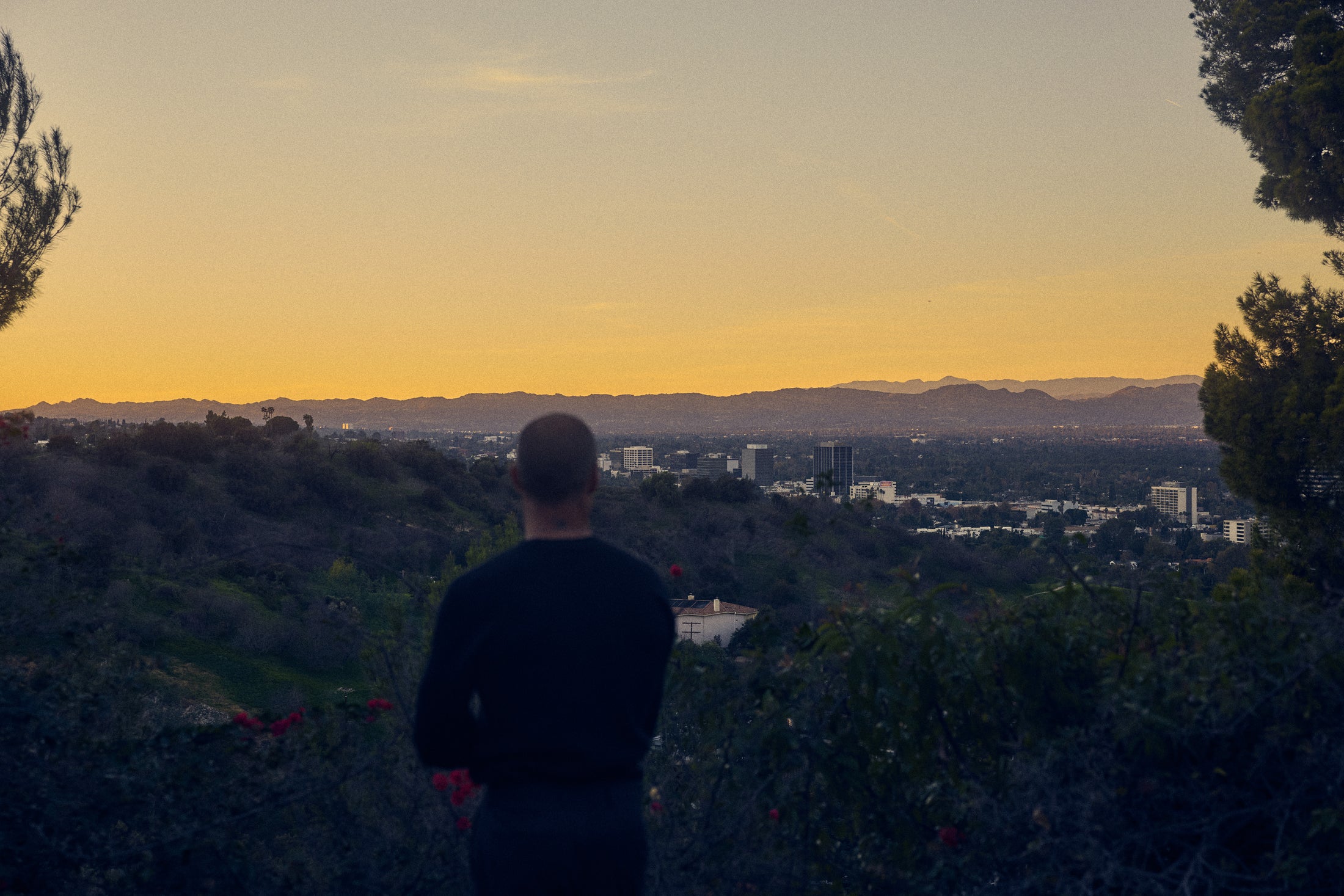 Person overlooking an urban landscape from a hillside during sunset, Classic Ford Bronco not visible.