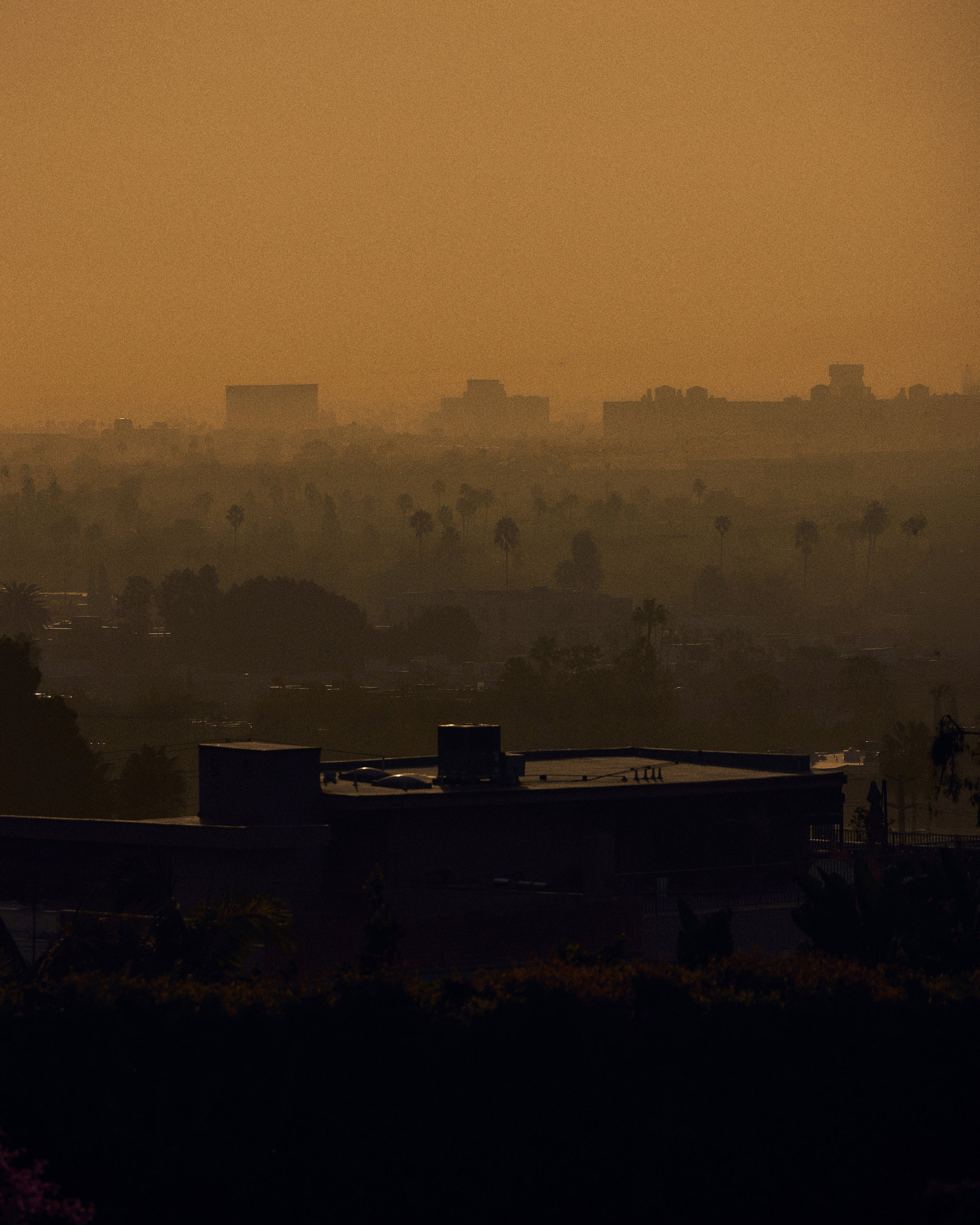 Hazy urban landscape with palm trees silhouetted against a golden sky at sunset.